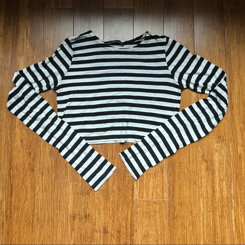 Zara long sleeve crop top.